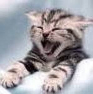 Meet your Posher, Billyjoe